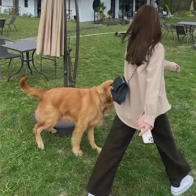 肥瑞的疯狂日记第一季