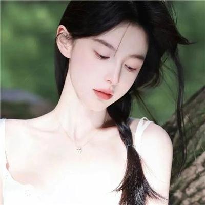 小象守护者